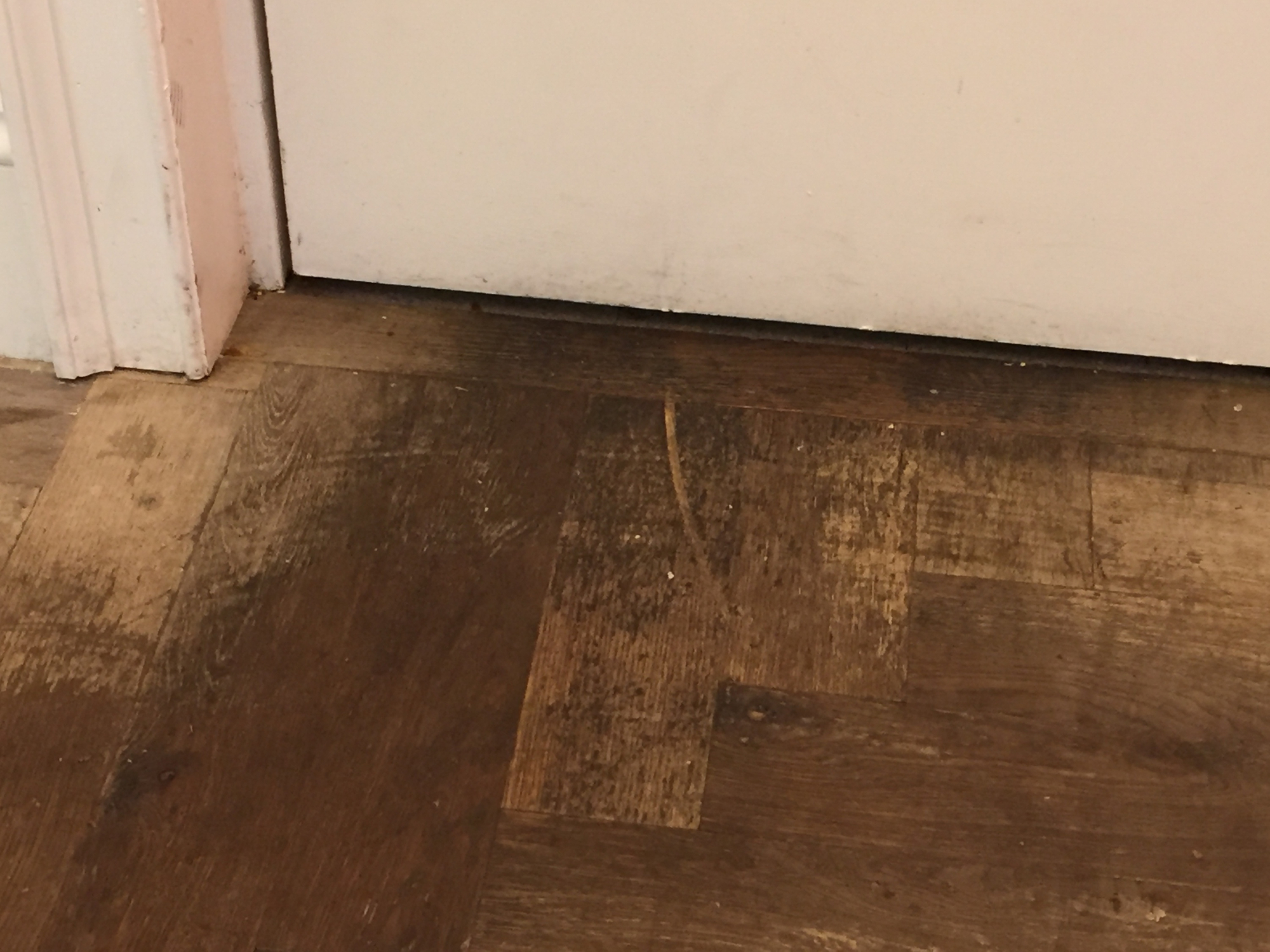 How to Remove a Scratch from Wood Floors Nydree Flooring