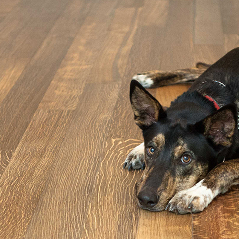 Engineered Hardwood Solutions For Scratch Resistant Flooring Nydree Flooring